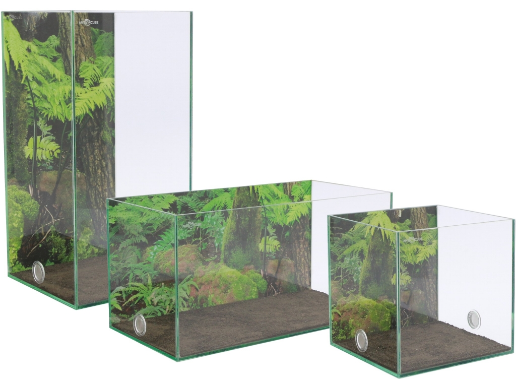 Photo Background - rainforest - 10x20 - high